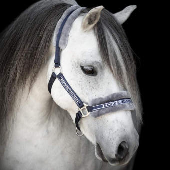 Licol avec Mouton Bleu marine/Gris