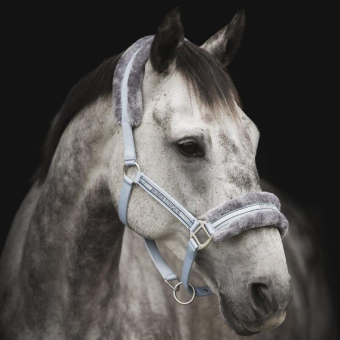 Licol avec Mouton Bleu Clair/Gris