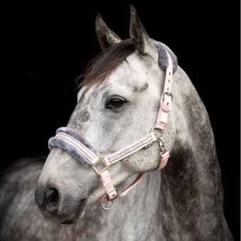 Licol avec Mouton Rose Clair/Gris