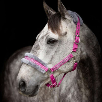Licol avec Mouton Rose/Gris
