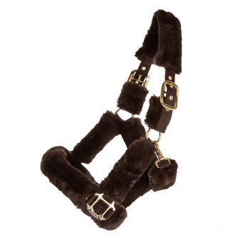 Licol Confort avec Fourrure Marron/Marron