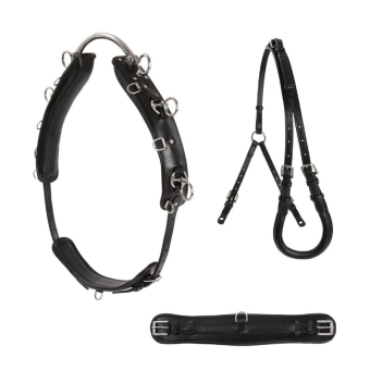 Sangle de longe Shetland/Pony Noir