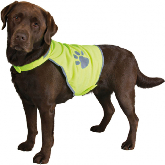 Gilet réfléchissant pour chien Jaune
