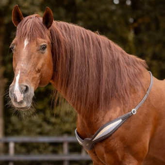 Cordelette d'encolure Cuir Whisper NH Marron