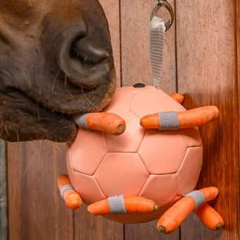 Jouet pour cheval Carrot Ball Rose