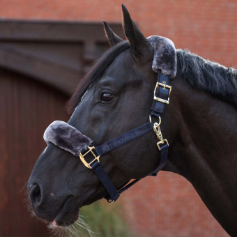 Licol Show-Line Half Fur Bleu Marine