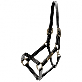 Halter en cuir Artificial Wellington Noir
