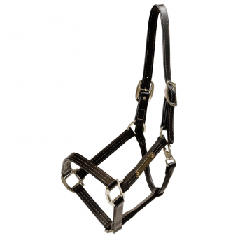 Halter en cuir Artificial Wellington Marron