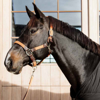 Licol Plaited Nylon Orange