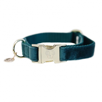 Collier pour chien en Velours Vert Émeraude 