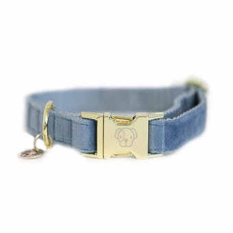 Collier pour chien en Velours Bleu Clair 