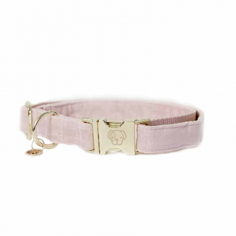 Collier pour chien en Velours Rose Vieux 