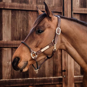 Halter en cuir Rope Artificial Marron