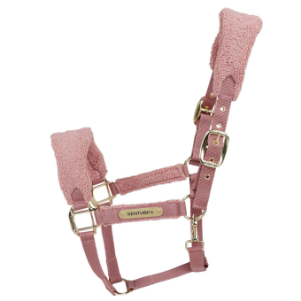 Licol Teddy Fleece Vieux Rose