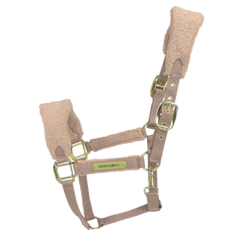 Licol Teddy Fleece Beige