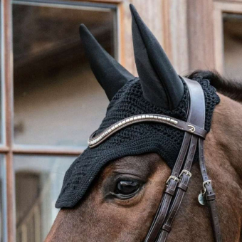 Bonnet Wellington Noir