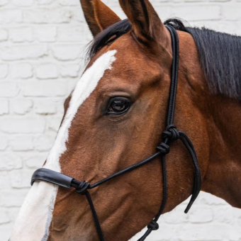 Licols en corde Grooming Deluxe Noir
