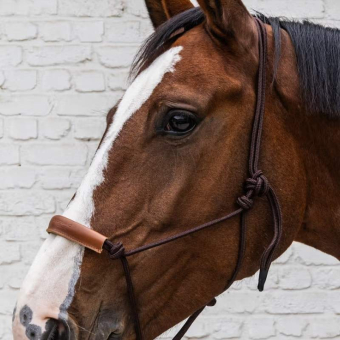 Licols en corde Grooming Deluxe Marron