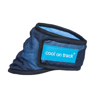 Écharpe/ Bandana pour chien Cool On Track Bleu