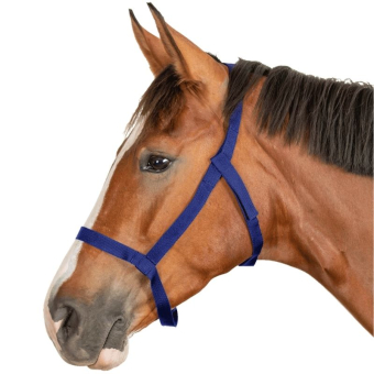 Licol de pré Grazing Bleu Marine