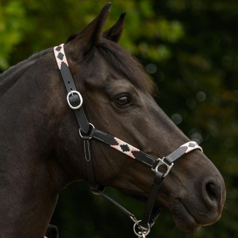Licol en cuir Polo X-Line Noir/Rose