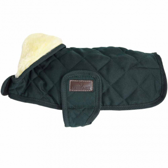 Couverture pour chien Original Vert 