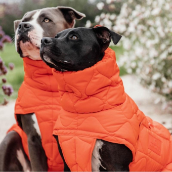 Manteau pour chien Winter Pina 160g Orange