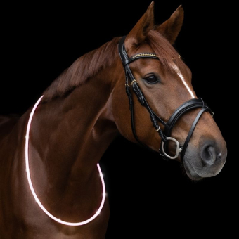 Collier d’encolure LED Light Blanc