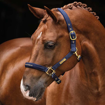 Licol HS Equestrian Life Bleu Marine