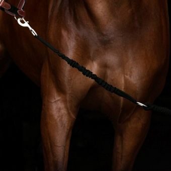 Longe élastique Enja Noir