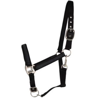 Licol HS Reflective Noir