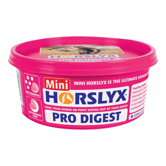 Bloc Lécheur Mini Pro Digest Équilibrant 650 g