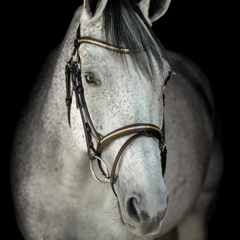 Bridon HS Clincher Aachen Marron