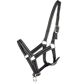 Licol pour poulain HS Reflective Noir