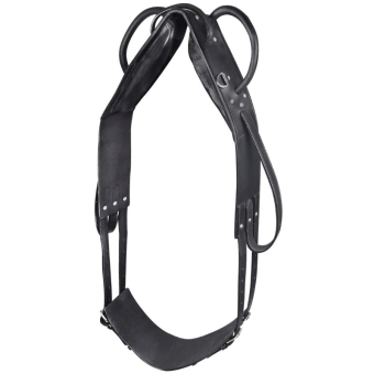 Surfaix de voltige Leather Noir