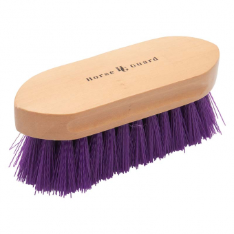 Brosse à dos HG Violet  