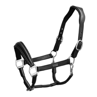 Halter en cuir anatomique ES Glimmer Black Edition