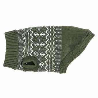 Pull pour chien Iselin Vert 