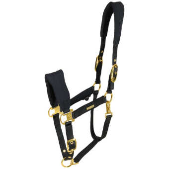 Licou FIR-Tech Grand Noir