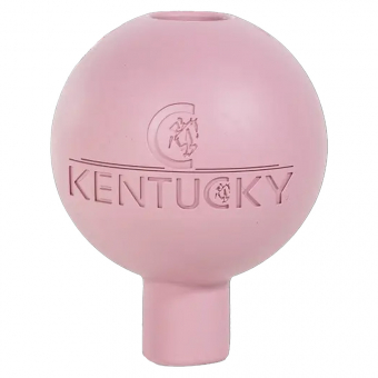 Balle de Protection Lead & Wall Protection Rubber Rose Ancien