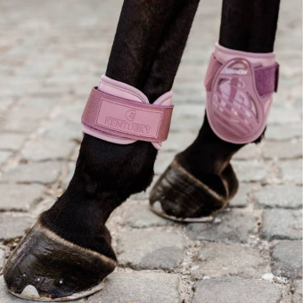 Guêtres pour jeune cheval Shield Rose