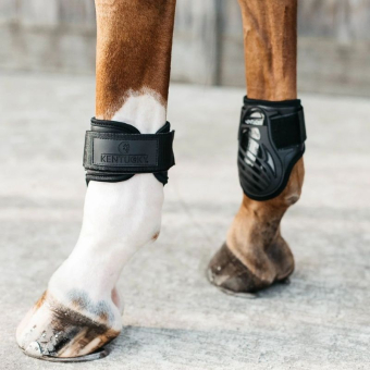 Guêtres pour jeune cheval Shield Noir