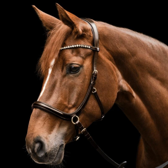 Bridon sans mors Sensation X-Line Marron