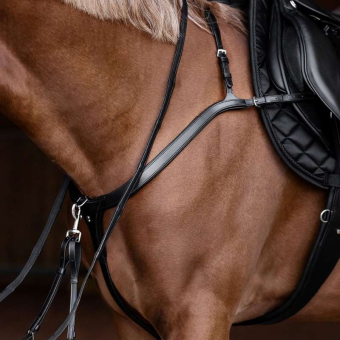Collier de chasse Long Bridge X-Line Noir