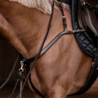 Collier de chasse Long Bridge X-Line Marron