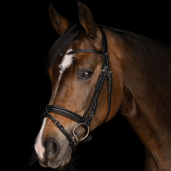 Bridon Charmbit X-Line Noir
