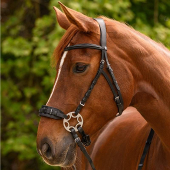 Bride hackamore Sensitive X-Line Noir