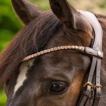 Frontal Shine X-Line Marron/Rose