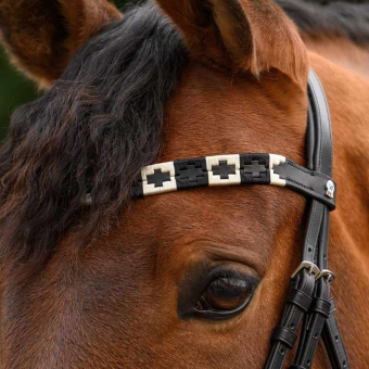 Frontal Polo X-Line Noir/Beige