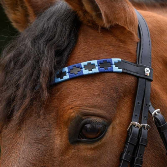 Frontal Polo X-Line Noir/Bleu